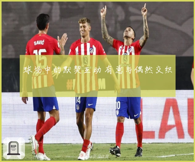 球场中的默契互动 有意与偶然交织