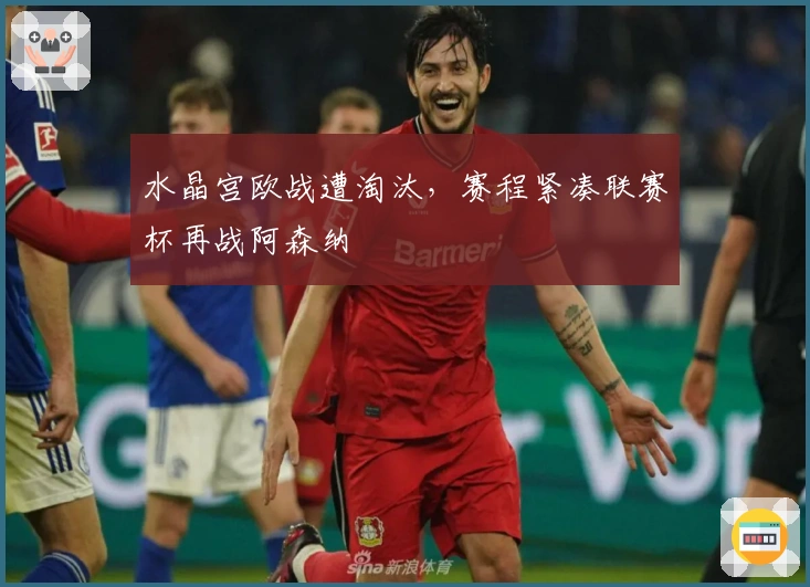 水晶宫欧战遭淘汰，赛程紧凑联赛杯再战阿森纳