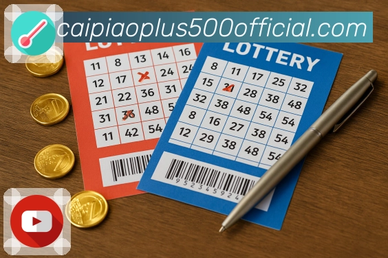 荣耀背后的坚守与创新