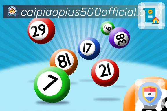 荣耀背后的坚守与创新